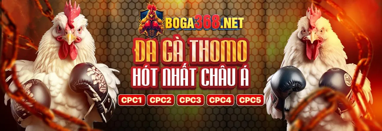 Cá cược đua ngựa tại nohu24