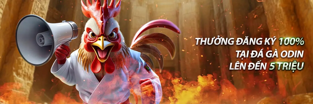 Đá gà trực tuyến nohu24